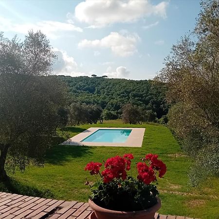 Podere Lucignano Secondo Agriturismo Gaiole in Chianti Eksteriør billede