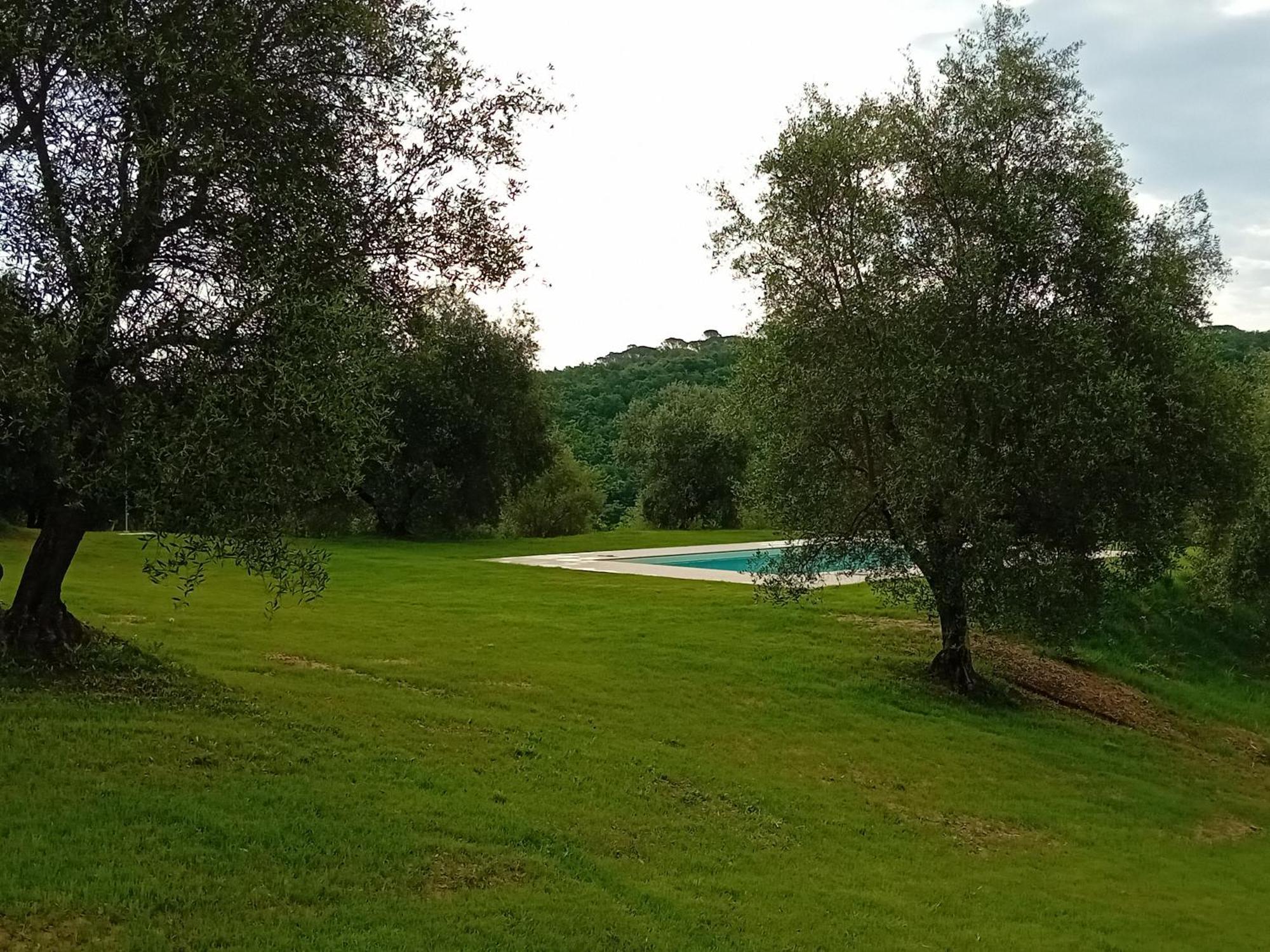 Podere Lucignano Secondo Agriturismo Gaiole in Chianti Eksteriør billede